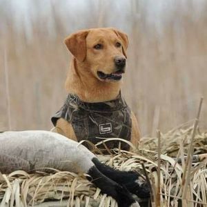 Meet your Posher, Bryce